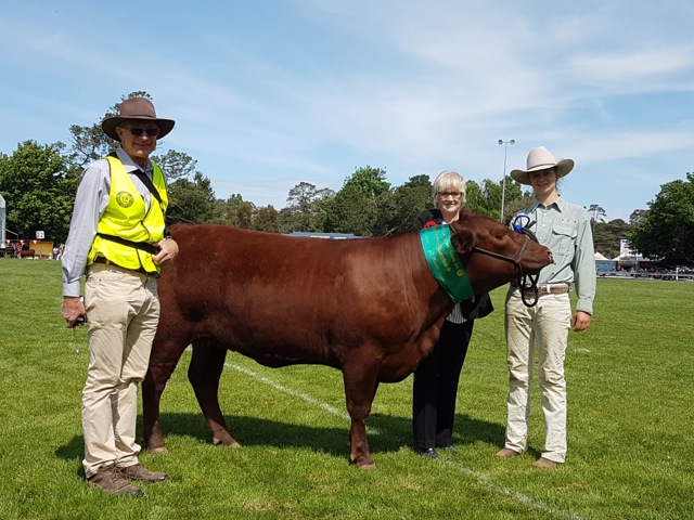 Red Cactus Josephine with Owner/Exhibitor Ross Draper, 
Whittlesea Show Society President Mrs Lyn Lee and Handler Cassy Willsmore