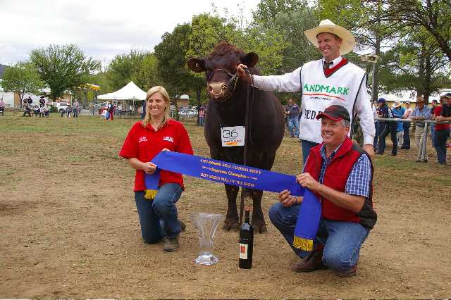 Balla Balla Bellamy - Supreme Champion Beef Breed Bull Canberra 2007