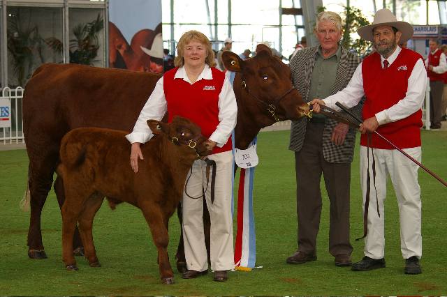Senior Champion Cow - Sophronites Natalie - Melbourne 2006